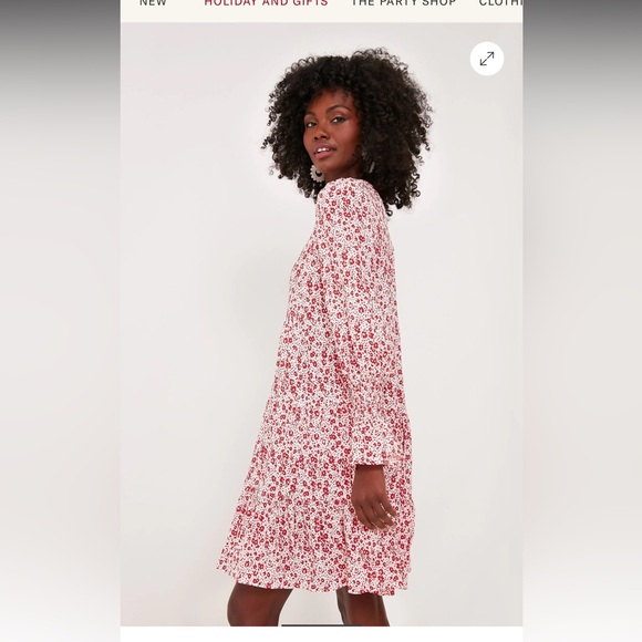 Pomander Place dress - Picture 3 of 9